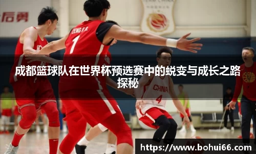 必一bsports体育
