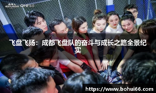 飞盘飞扬：成都飞盘队的奋斗与成长之路全景纪实