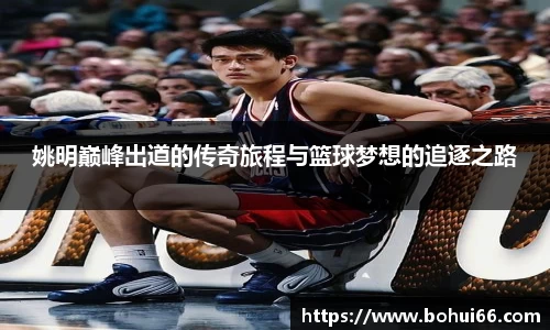 bsports必一体育